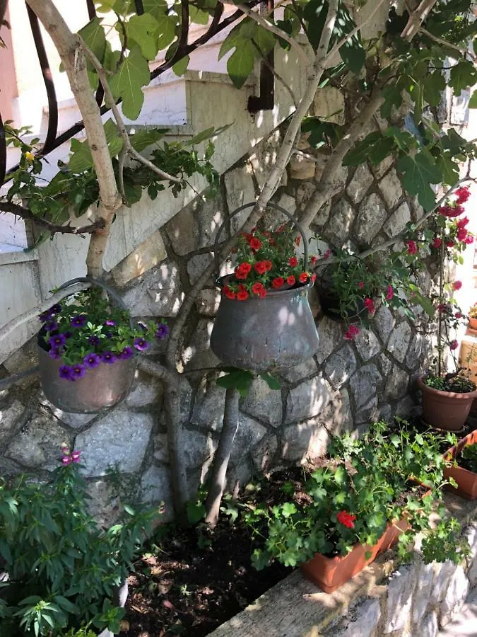 Apartments Ida Cres 0*,  Croatia